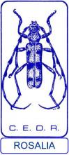 2019 rosalia logo