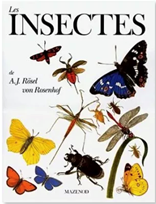 Insectes livre