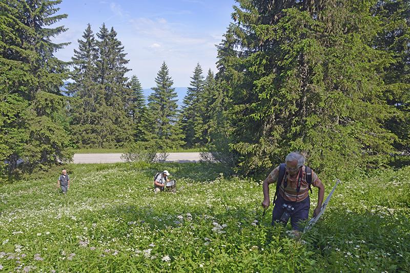 Prospection sur la route du Collet d'Allevard 1510m