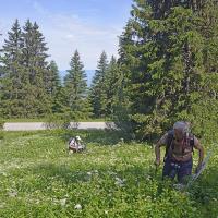 Prospection sur la route du Collet d'Allevard 1510m