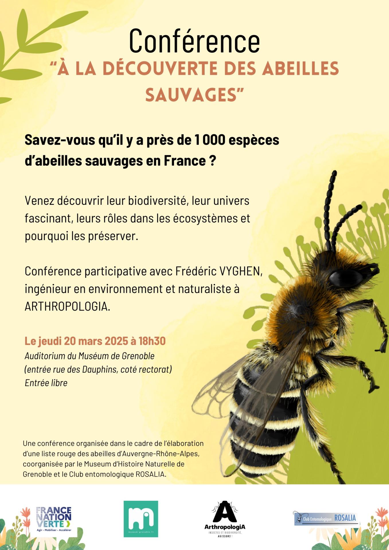 Conference abeilles sauvages vd