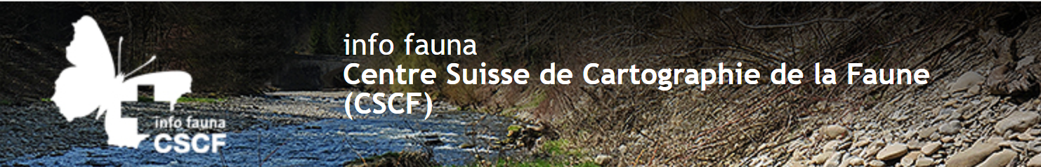 Info fauna