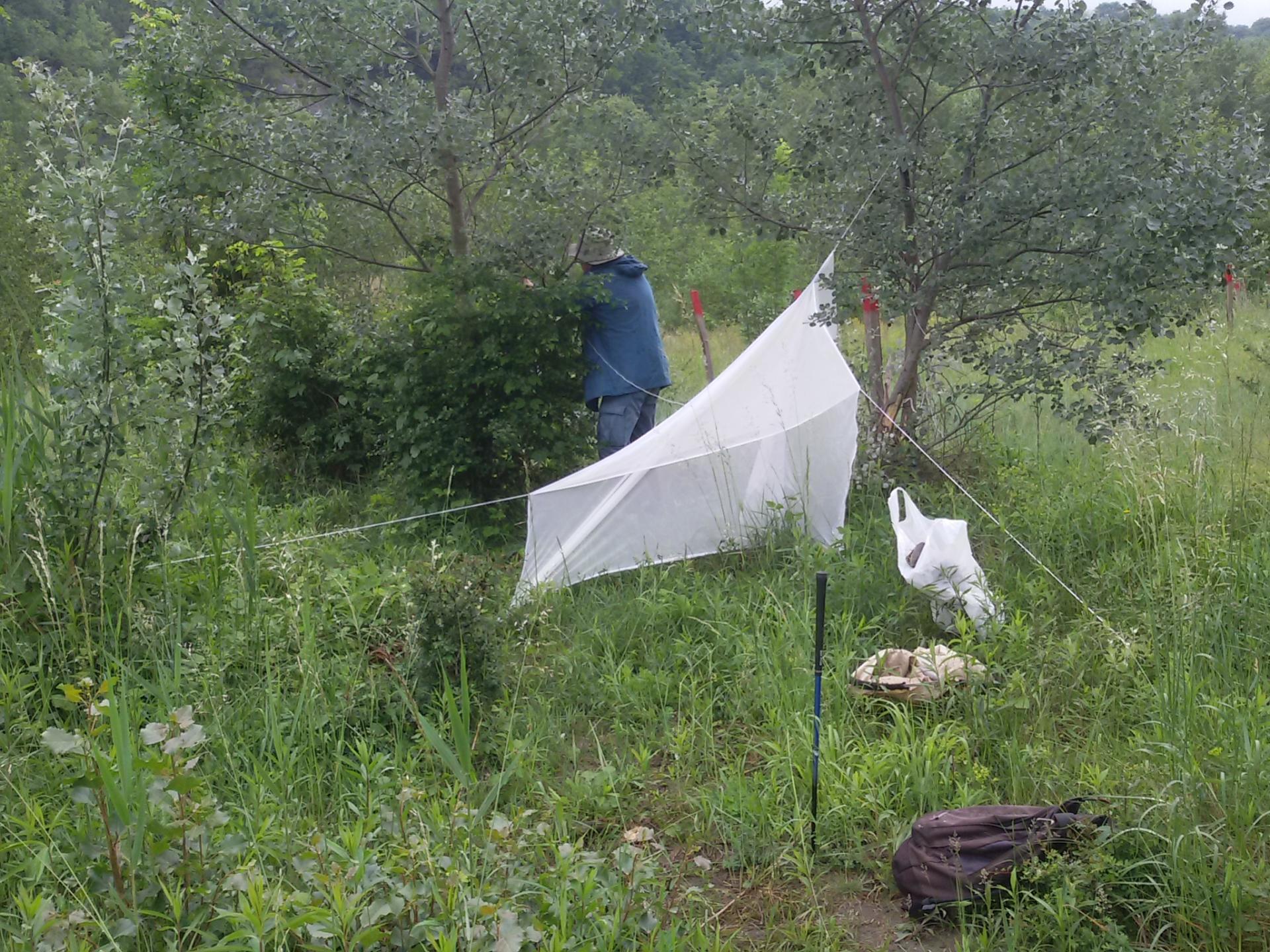 Installation tente malaise la rivoire 20020