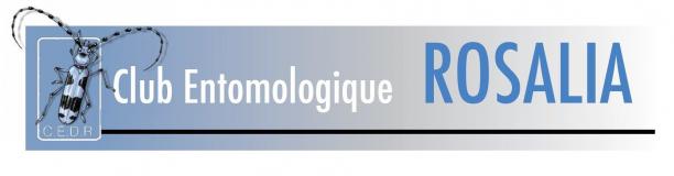 Logo2 1