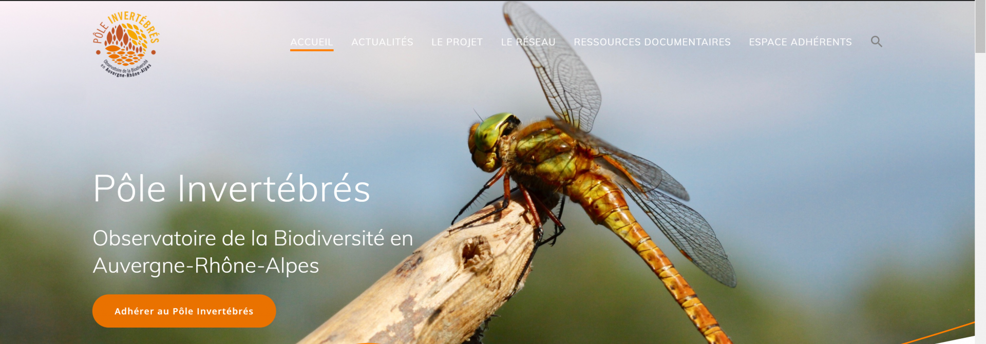 Pole invertebre rhone alpes